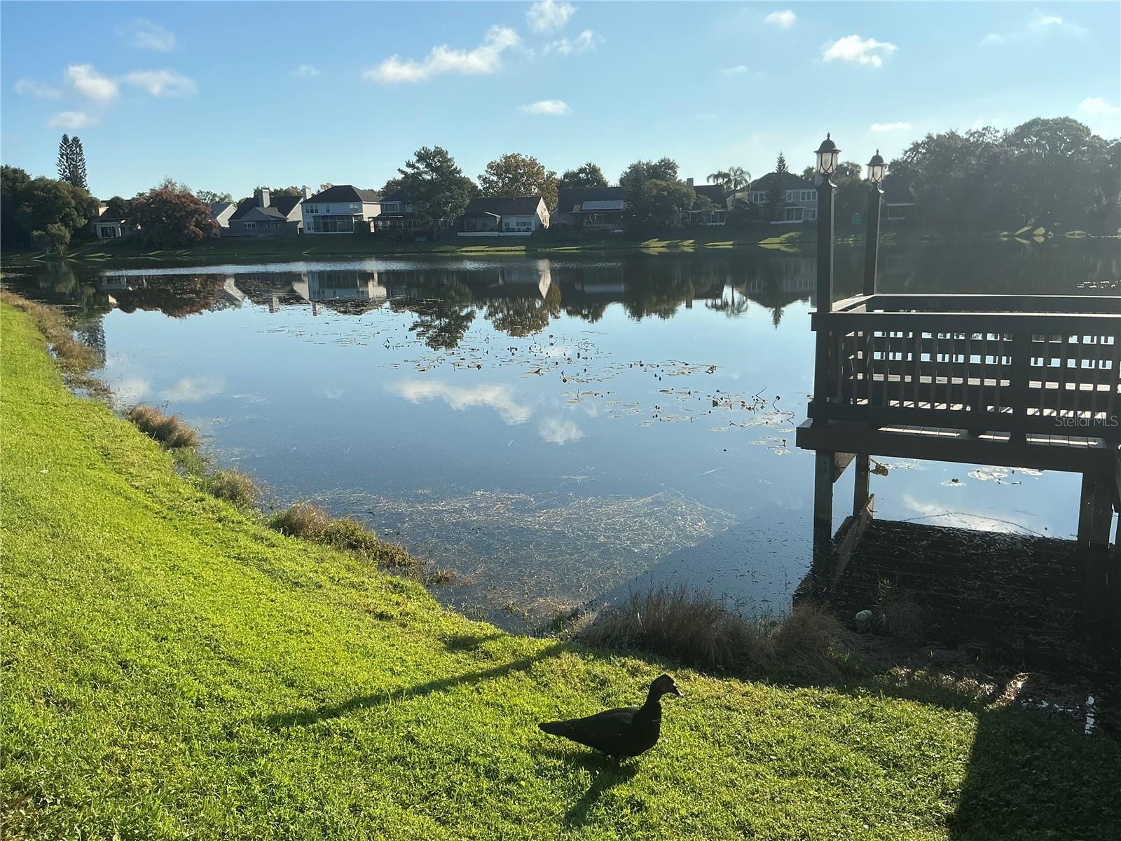 REGENCY PARK AT LAKE MARY A CONDO - Residential