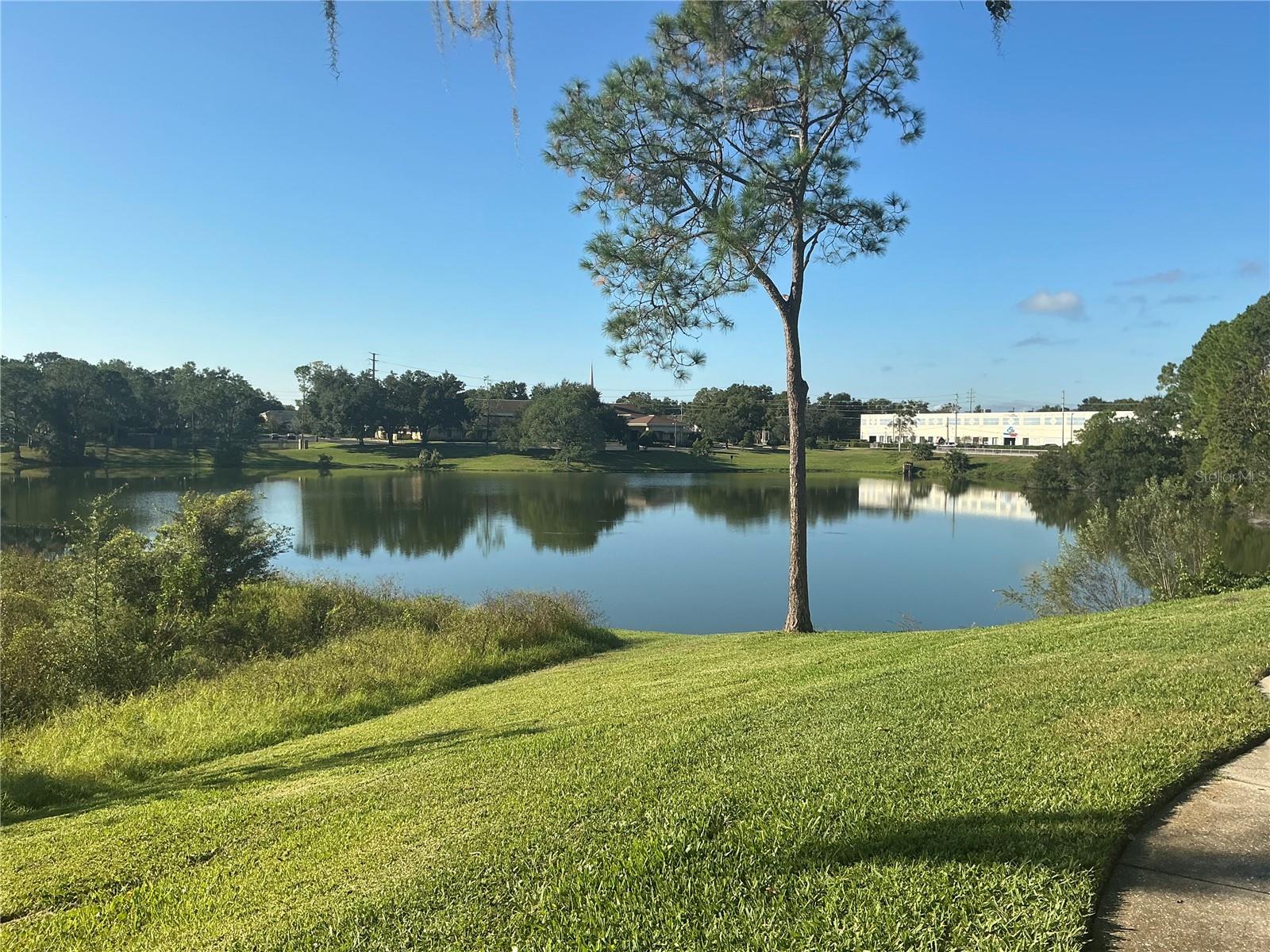 REGENCY PARK AT LAKE MARY A CONDO - Residential