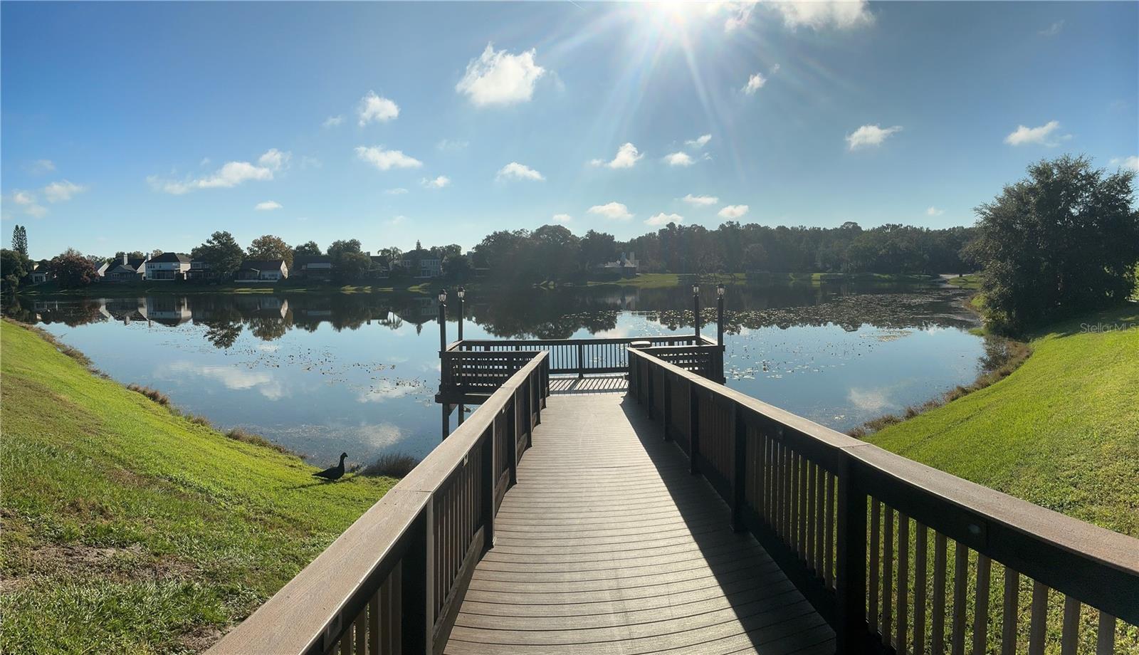 REGENCY PARK AT LAKE MARY A CONDO - Residential