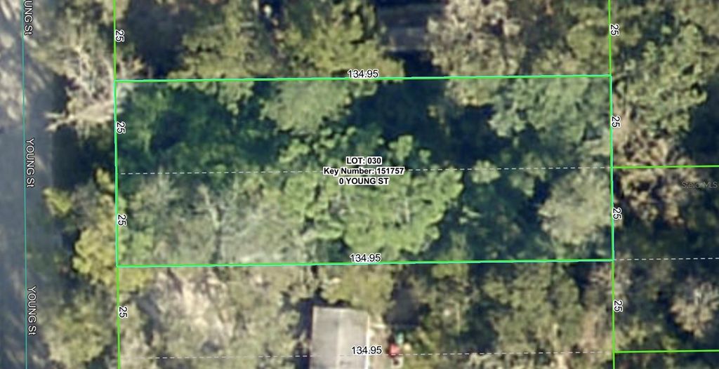 Photo of 7120 Young Street, Brooksville, FL 34601 (MLS # W7879518)