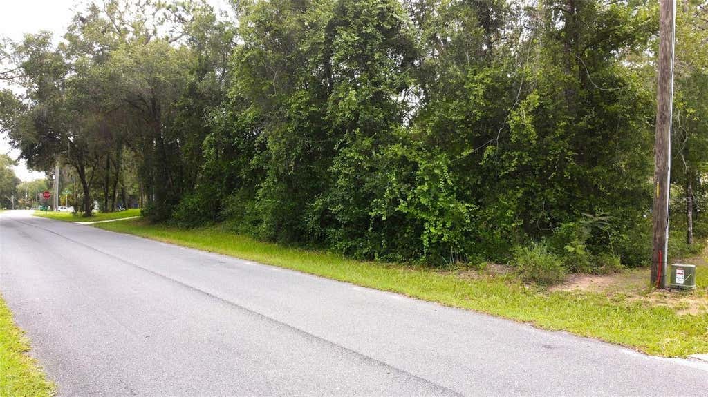 Photo of 6982 N Palmer Way, Hernando, FL 34442 (MLS # W7888382)