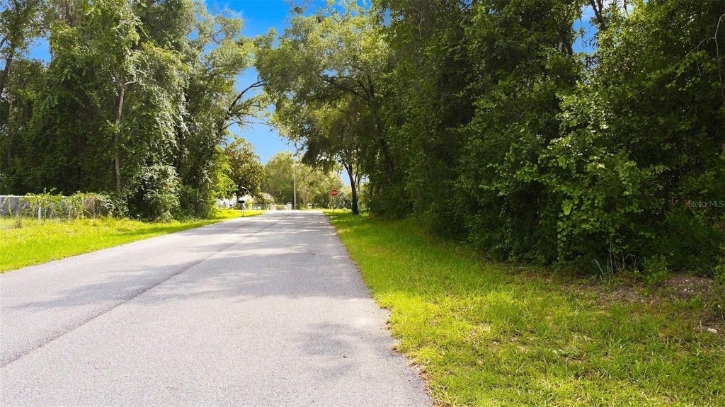 Photo of 6982 N Palmer Way, Hernando, FL 34442 (MLS # W7888382)