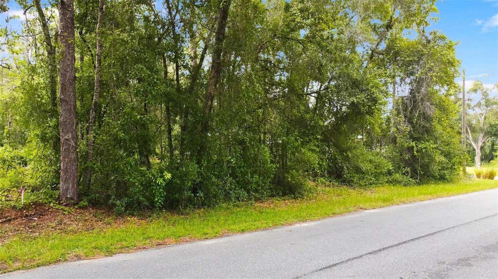 Photo of 6982 N Palmer Way, Hernando, FL 34442 (MLS # W7888382)