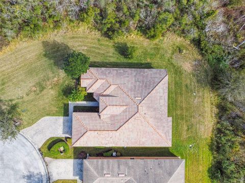 A home in KISSIMMEE