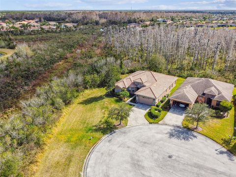 A home in KISSIMMEE