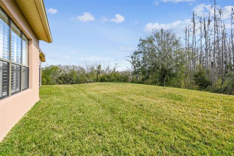 A home in KISSIMMEE