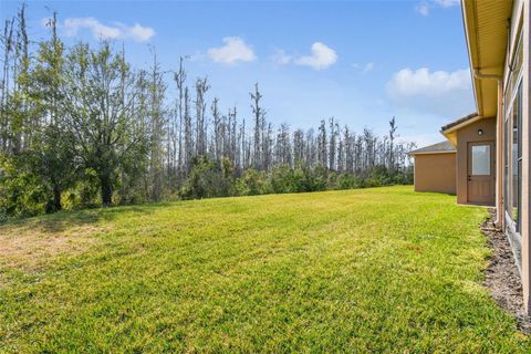 A home in KISSIMMEE