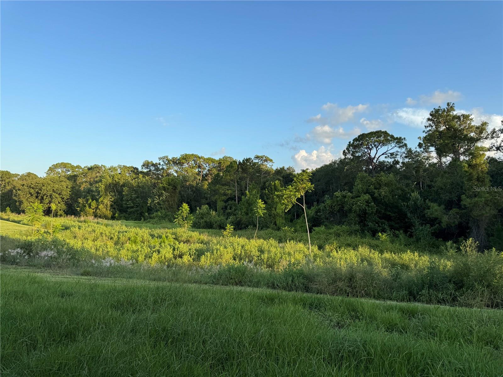 PINE GLEN - Residential Lease