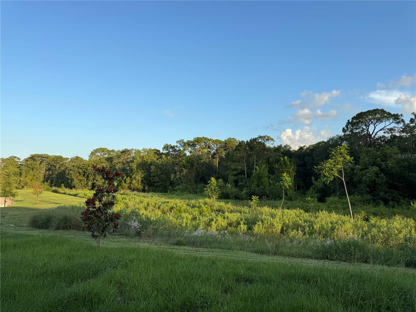 PINE GLEN - Residential Lease