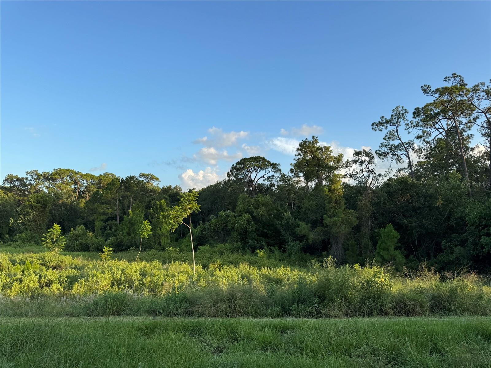 PINE GLEN - Residential Lease