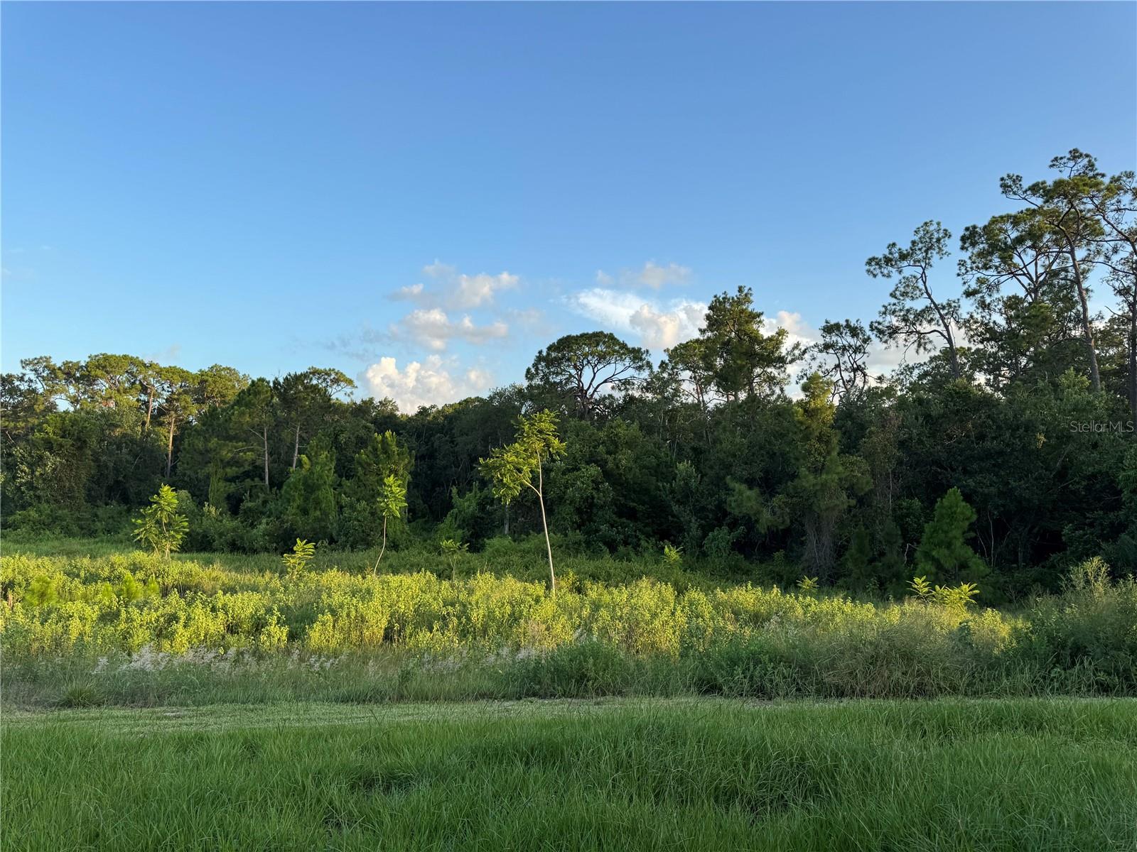 PINE GLEN - Residential Lease