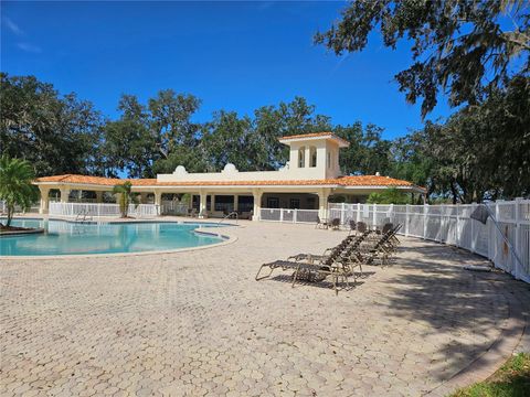 A home in LAND O LAKES