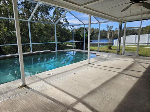 A home in LAND O LAKES