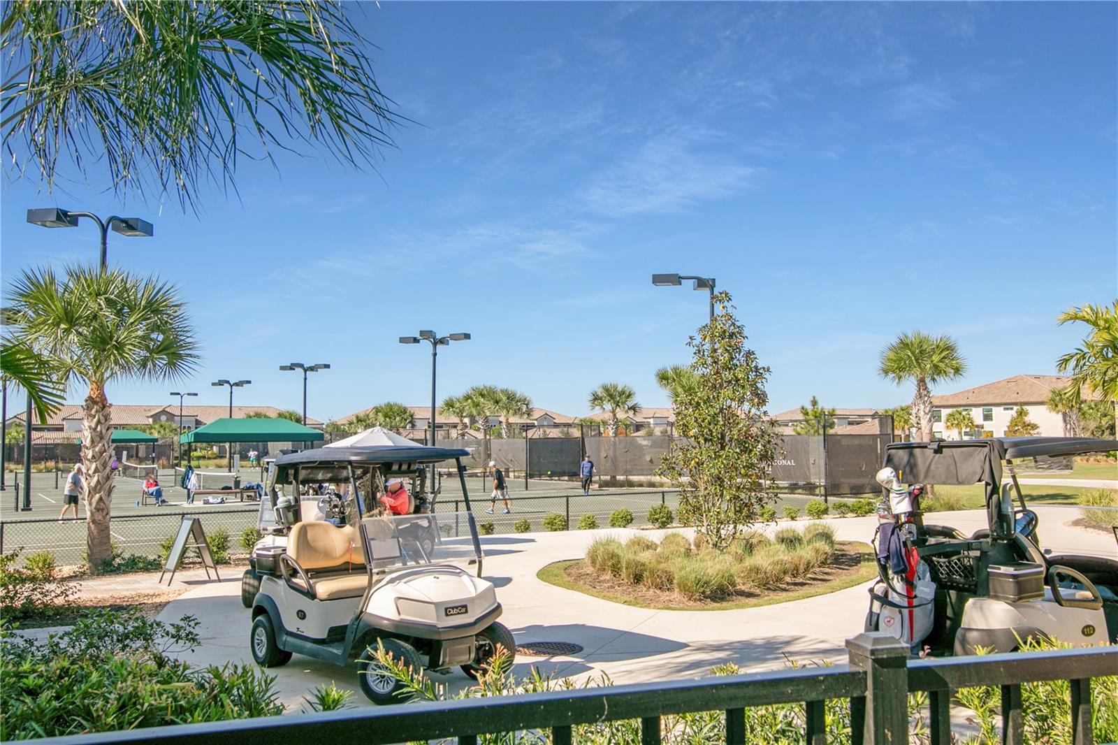 COACH HOMES IV AT LAKEWOOD NATIONAL - Residential