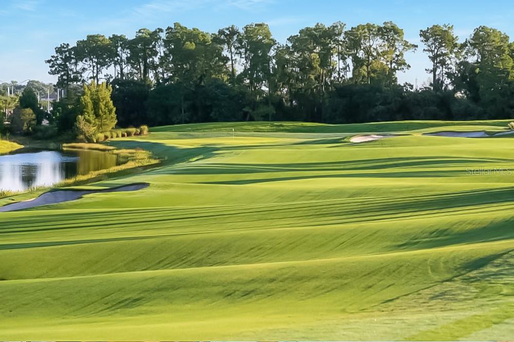 COACH HOMES IV AT LAKEWOOD NATIONAL - Residential