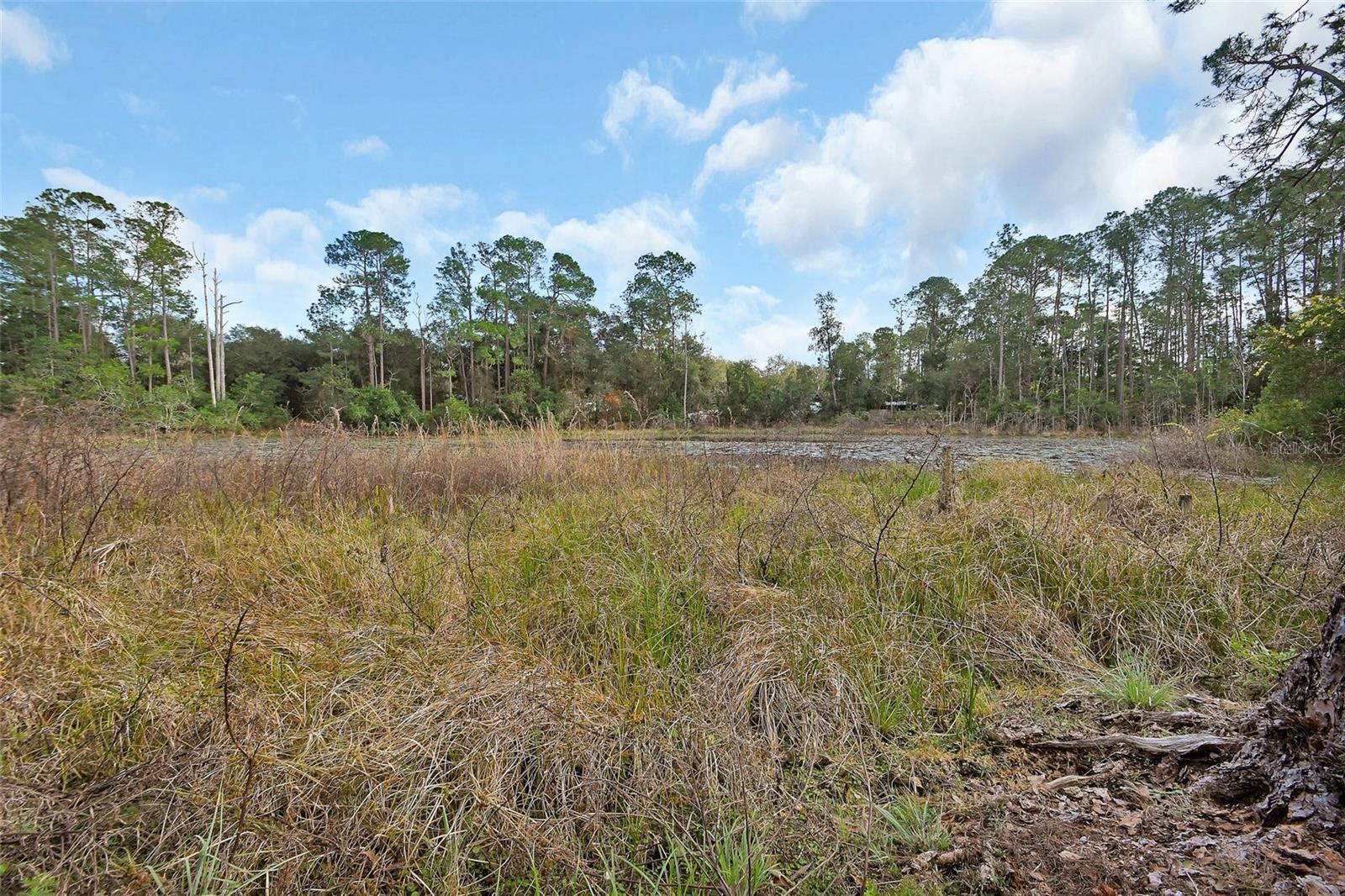 BLUE LAKE RIDGE - Residential
