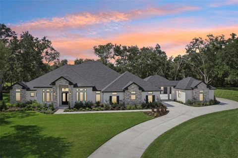 Photo of 3317 Chase Jackson Branch Br, Lutz, FL 33559 (MLS # TB8418234)