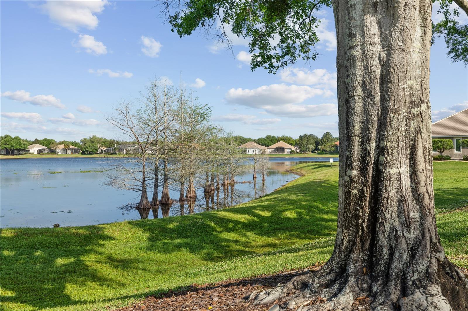 CARRINGTON PARK - Residential