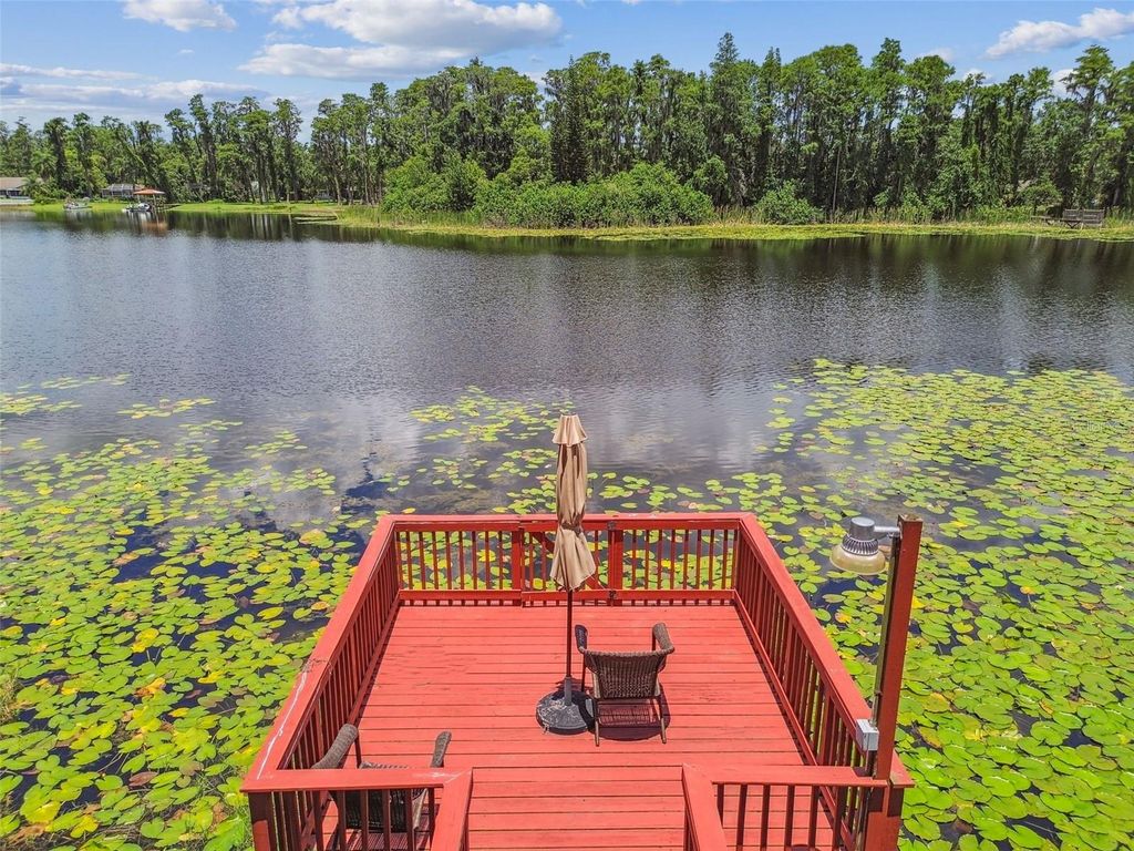 Photo of 17906 Loretta Lane, Lutz, FL 33548 (MLS # TB8468021)