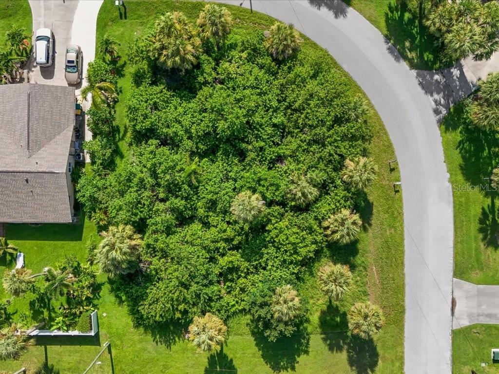 Build your DREAM HOME in Paradise! This great oversized corner lot is centrally located in a neighborhood of many waterfront homes less than 20 minutes from several boat launches, Shopping , parks, restaurants, Hospitals, municipal offices and downtown Punta Gorda. This convenient location allows you to enjoy public access to the harbor and Gulf for boating and fishing. Public utilities including water and sewer are available. This Parcel has it ALL! Bring your plans and get started on that dream!!