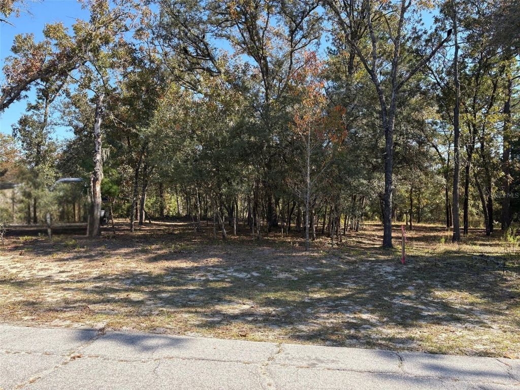 Photo of 10079 N Ruth Terrace, Citrus Springs, FL 34434 (MLS # OM713875)