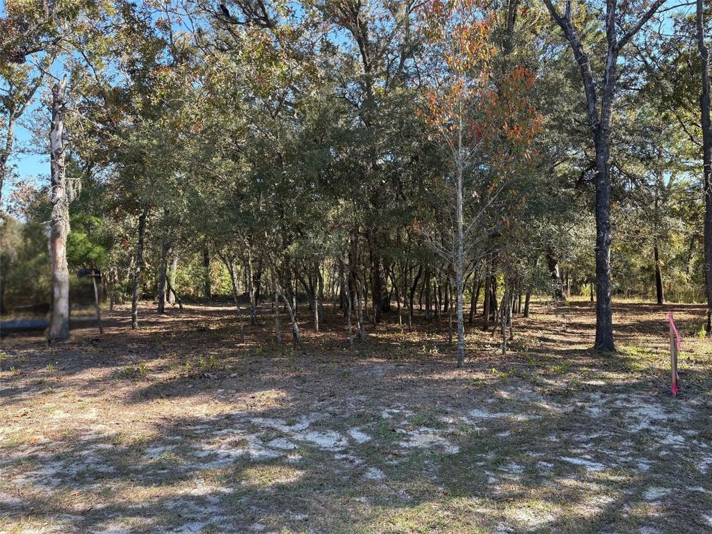 Photo of 10079 N Ruth Terrace, Citrus Springs, FL 34434 (MLS # OM713875)