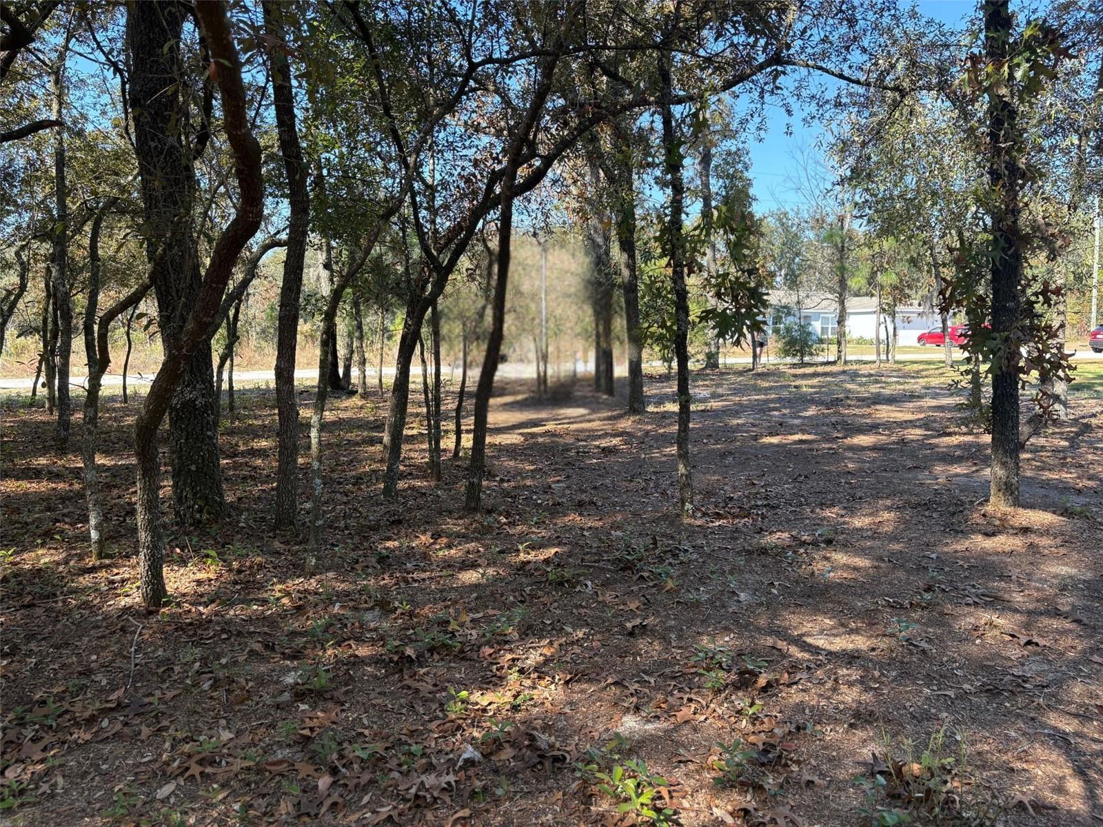 10079 N RUTH TERRACE