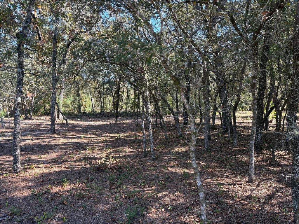 Photo of 10079 N Ruth Terrace, Citrus Springs, FL 34434 (MLS # OM713875)