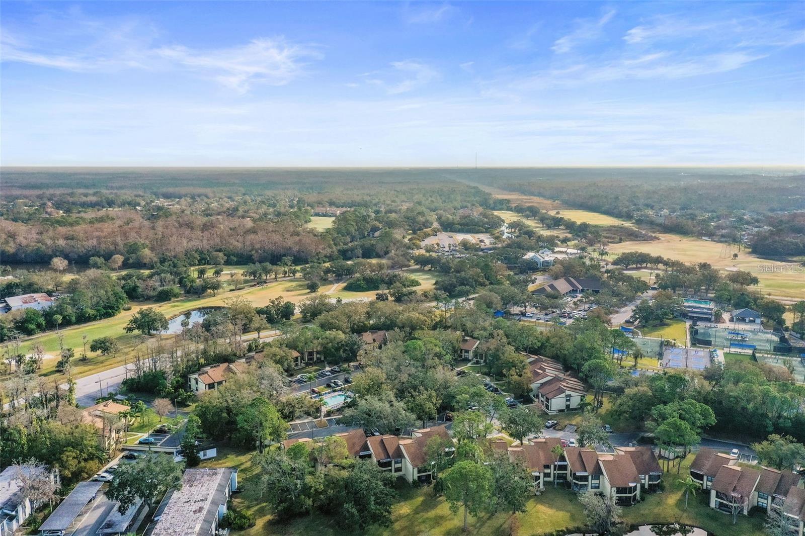 EAST LAKE WOODLANDS WOODLAKE RUN - Residential