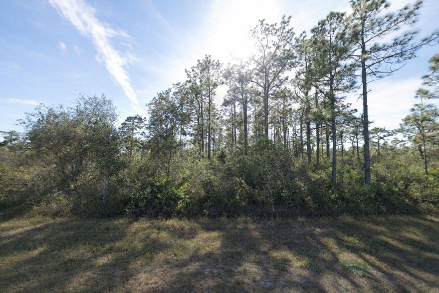 Premier residential lot available in the world-class fishing and golfing community of Indian Lake Estates. This vacant land offers the perfect canvas for your custom home near the shores of Lake Walk-in-Water. Enjoy unparalleled amenities including a private marina, boat slips, and the longest freshwater fishing pier in Florida. Golfers will appreciate the professional 18 hole course and the 19th Hole Bar & Grill. Community features also include tennis courts, pickleball, and a fitness center. Secure your piece of paradise today in one of Florida's most unique residential retreats.
