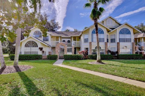 A home in KISSIMMEE