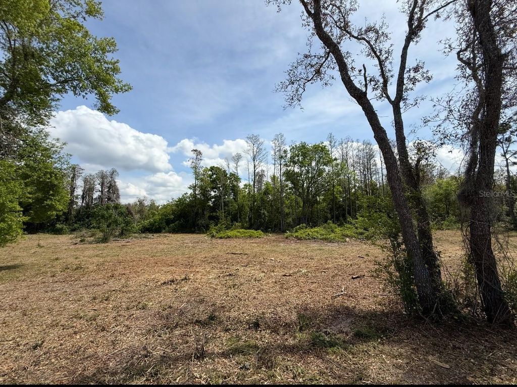 Photo of 9906 Hilltop Drive, New Port Richey, FL 34654 (MLS # TB8320335)
