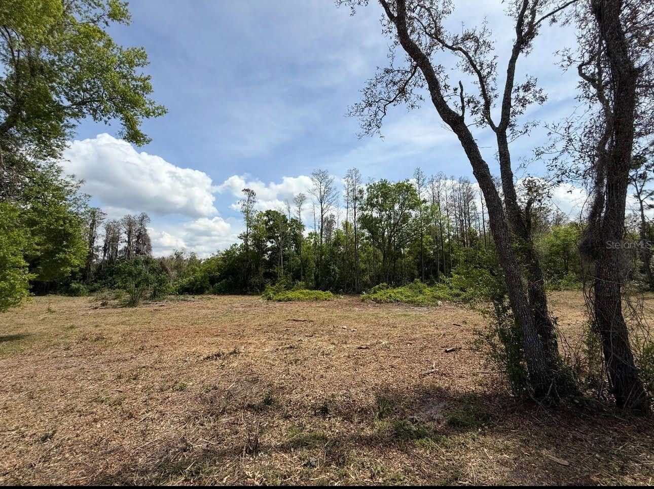 Bushwhacking along the frontage of the property has recently been completed to make the land easily accessible to view and walk as needed. Go at own risk. Price improved! Discover a rare opportunity to own 4.94 acres of pristine land in the highly desirable Green Acres community of New Port Richey. This expansive property offers **2 acres MOL of buildable land**, perfect for creating your dream home. The remaining acreage consists of wetlands, providing nearly 3 acres of additional privacy—something few other properties in this price range can offer. The land is ready for development, with a septic system required for installation. Electrical service is available nearby, and high-speed fiber optic internet is accessible in the neighborhood, ensuring you’ll stay connected in today’s digital age. The lot is located within the established, deed-restricted neighborhood of Golden Acres, which is known for its peaceful ambiance and limited availability of land. Situated off of Little Road, this property enjoys easy access to a variety of nearby amenities, including numerous restaurants, shopping centers, and other local conveniences. Whether you’re looking to build a private retreat or a spacious family home, this location provides both tranquility and convenience. The property’s potential is showcased in the photos, which include a blueprint of a proposed 3,000 sqft home with a 3-car attached garage and a fabulous detached pole barn for all your toys and storage, offering a glimpse of the possibilities for this beautiful lot. This unique piece of land in an established, high-demand neighborhood is an opportunity that won’t last long. With limited vacant lots available in Golden Acres, now is the perfect time to make this land yours and begin designing the home you’ve always dreamed of.