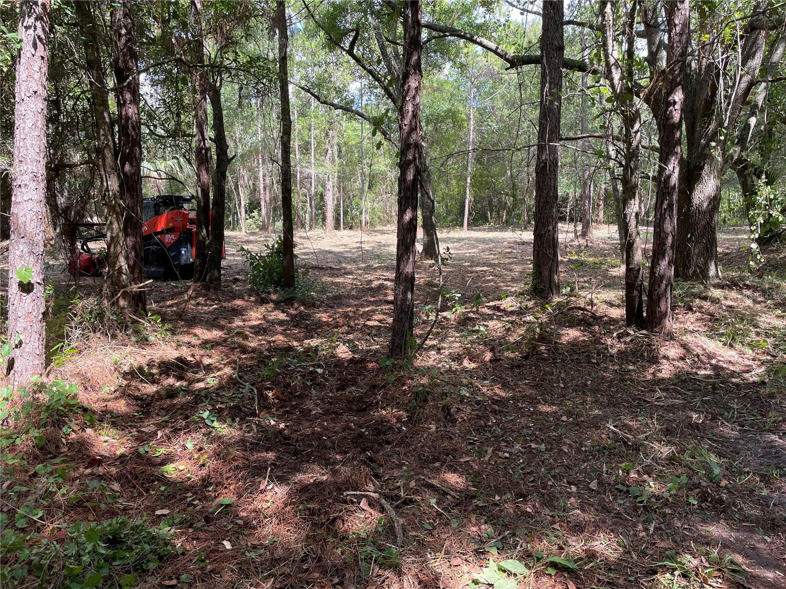 PLEASANT HILL HEIGHTS UNIT 1 - Land