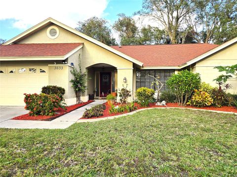 3633 NETTLE CREEK COURT HOLIDAY FL 34691