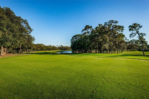 A home in PALM HARBOR