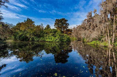 A home in PALM HARBOR