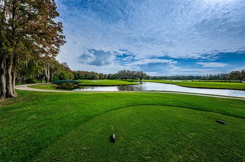 A home in PALM HARBOR