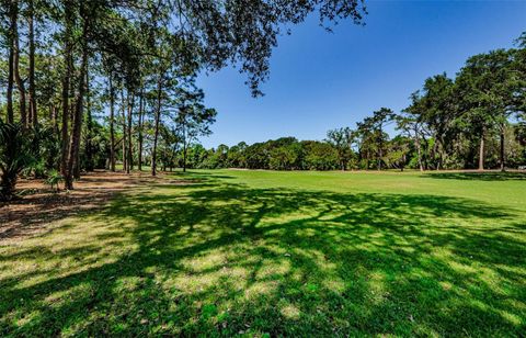 A home in PALM HARBOR