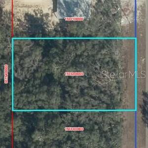 CHIEFLAND COUNTRY ESTATES - Land