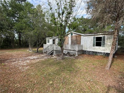 Tiny photo for 18710 SE 61st Street Road, Ocklawaha, FL 32179 (MLS # OM723784)