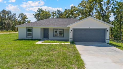 Photo of 33 Fisher Lane Way, Ocklawaha, FL 32179 (MLS # O6346339)