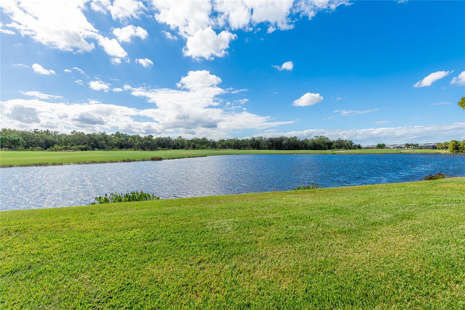 AZARIO ESPLANADE PH VI - Residential