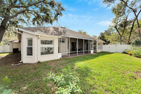 A home in RIVERVIEW