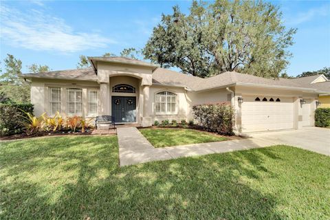 A home in RIVERVIEW