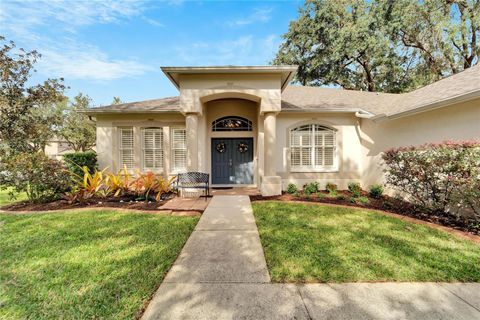 A home in RIVERVIEW