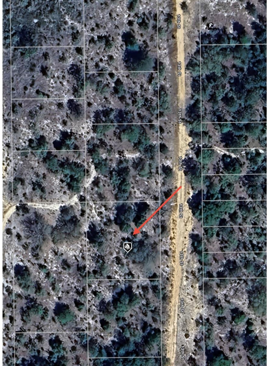 ORANGE BLOSSOM MANOR - Land