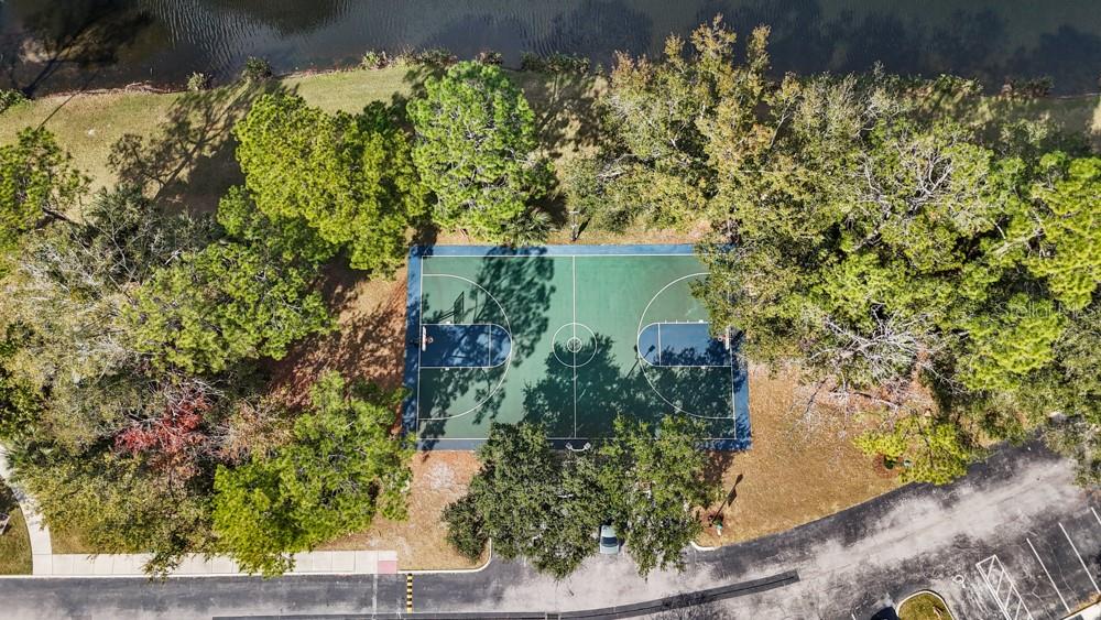 CELEBRATION NORTH VILLAGE UNIT 3 - Residential