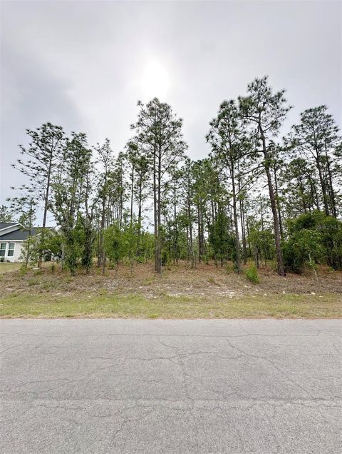 Tiny photo for Tbd NE 150th , Lot 10 Avenue, Williston, FL 32696 (MLS # GC540224)