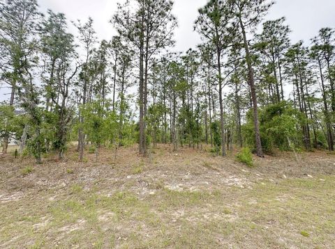 Tiny photo for Tbd NE 150th , Lot 10 Avenue, Williston, FL 32696 (MLS # GC540224)
